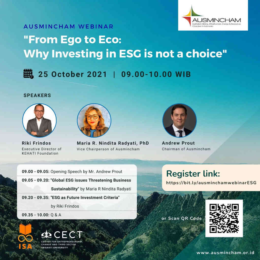 ausmincham webinar from ego to eco